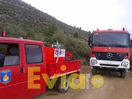 Το δικό της μήνυμα για τη νέα γυναικοκτονία που σημειώθηκε στη δάφνη έστειλε μέσω του twitter η πρόεδρος του κινήματος. Fwtia 3espase Sto Olympiako Xwrio Gymnoy Eyboias Amesh Katasbesh Apo Thn Py Xalkidas Kai 3 Syllogoys Ths Eretrias Eviathema Gr