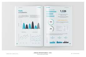 annual report bundle 4 in 1 editable fully graphs bar