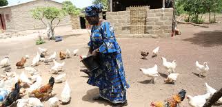The legendary city of timbuktu (or tombouktou) was once a center of trade and education. Mali And Ifad Develop A New Strategic Programme To Meet The Challenge Of Achieving The Sustainable Development Goals In The Face Of Climate Change