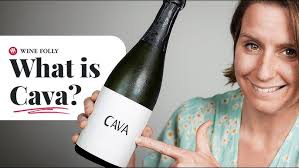 Taste This: Learning About Cava and Food Pairings at Gloria Ferrer in  Sonoma