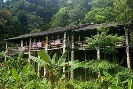 Other things to do here? Annah Rais Bidayuh Longhouse Tour From Kuching 2021