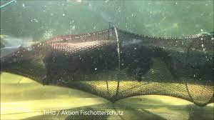 Many years in business finance and procurement. Pressefilm Otter Und Reusen Youtube
