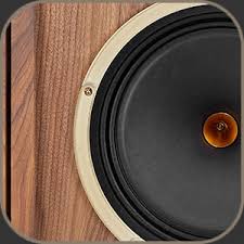 The new 15 inch gold reference driver is tannoy's most powerful and articulate dual to date, boasting an incredible 600 watt peak power handling and offering over 96db efficiency in the 235 litre canterbury gr cabinet. Tannoy Autograph Mini