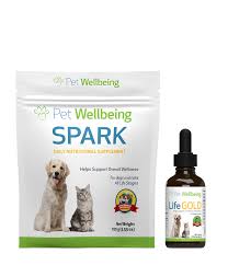 My dog was diagnosed with lymphoma and his vet put him on antibiotics and prednisone 10 mg. Take A Deeper Look At Lymphoma In Dogs Lymphoma In Dogs Canine Cancer Gentle Detox