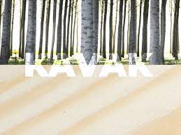 Furniture and wooden material research journal. Oyuncak Yapiminda Hangi Agac Turleri Kullanilir Geleneksel Eyup Oyuncakcisi