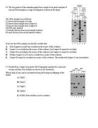 Dna fingerprinting is also used to establish paternity. 31 Dna Fingerprinting Worksheet Key Worksheet Resource Plans