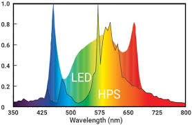 Check spelling or type a new query. Are Led Or Hps Lights Better For Growing Cannabis