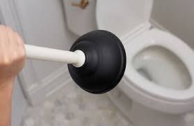 Lower the plunger into the toilet bowl at an angle, and fit the rubber cup over the toilet's drain hole. How To Unclog A Toilet Drano