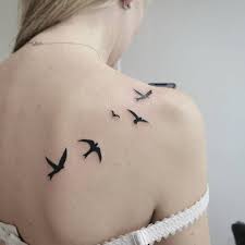 Discover thousands of free birds tattoos & designs. 5 Bird Tattoo Ideas The Meaning For Bird Tattoos And Its Popularity Her Style Code