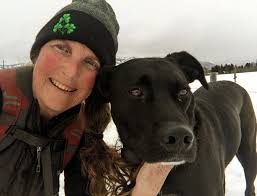 Co Down yesterday in the snow. Compleat with Irish cobs( what American s  call Gypsy Vanners)