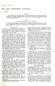 Image result for Syncolostemon bracteosus