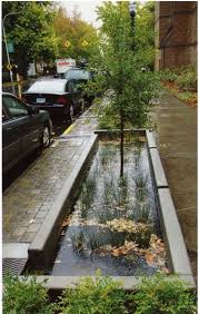 Undefined Architecture Du Paysage Jardin De Pluie Jardin D Eau