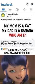 Banananoir Rules Miraculous Ladybug Memes Miraculous Ladybug Anime Miraculous Ladybug Funny