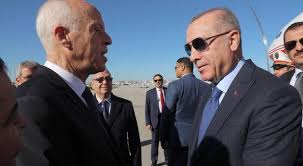 نتيجة بحث الصور عن صور أردوغان مع الرئيس التونسي