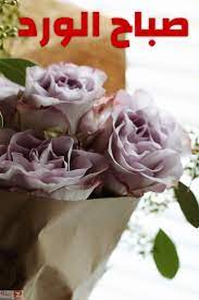 صور صباح الخير جديده مسجات صباح الخير 2020 صباح الورد zina blog flowers rose plants