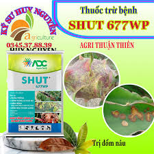 Shut 677WP