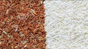 Gambar sembako png download free png images, vectors, stock photos, psd templates, icons, fonts, graphics, clipart, mockups, with transparent background. 31 Warung Sembako Online Purwokerto Ideas Purwokerto Warung Sembako Best Cooking Oil