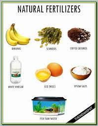 Recycling Wood Saves Money And Adds A Unique Touch To Your Garden Learn More Ideas By Clicking Garden Fertilizer Organic Vegetable Garden Organic Vegetables