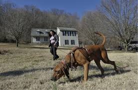 「Search and rescue dog」の画像検索結果