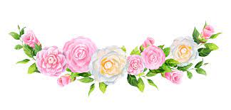 Imagem Relacionada Flower Png Images Png Images Ranunculus Flowers