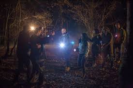 The forest is used as a common recreation destination. DescoperÄƒ Romania PÄƒdurea Hoia Baciu Intre Mit È™i Realitate Editia De Dimineata