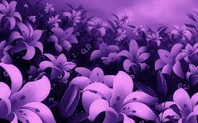 Check spelling or type a new query. Awesome Violet Flower Wallpaper Full Screen High Full Screen Wallpaper Hd Flowers 1920x1200 Download Hd Wallpaper Wallpapertip