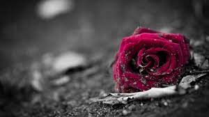 Check spelling or type a new query. Soipjj2o3tz5 M