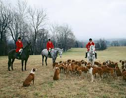 Will still be offering swim team practices this year. Foxhunting Britannica
