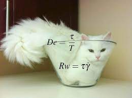 Are Cats Liquid Cat Science By Panda The Red Tenderly