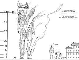 Titan Height Comparison Attack On Titan Attack On Titan Series Titans