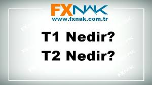 Türk dil kurumu'na göre kelime farsça'dan gelmekte olup eşcinsel olmakla gavat ne demek. T1 Nedir T2 Ne Demek Fxnak Lojistik