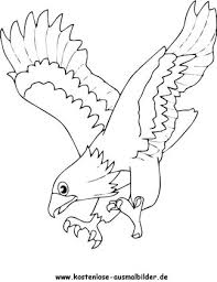 Ausmalbild Adler 3 Zum Ausdrucken