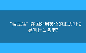 独立站”在国外用英语的正式叫法是叫什么名字？ - 跨境电商- 品牌 ...