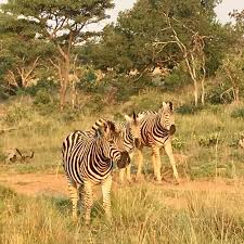 Adactio: Notes—March 17th, 2018, 3:27pm