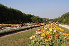 Travelers can enjoy espresso makers, premium bedding and sleep number beds, flatscreen tvs with satellite programming, work desks, and free wifi. Jardin Des Plantes Paris Botanical Garden And Zoo