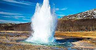 Un fossile è qualunque resto di organismo, o traccia della sua attività, conservatosi dal passato. Strokkur Islanda Luoghi Unici In Tutto Il Mondo 2021
