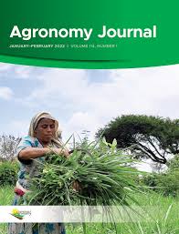 Image result for Harpachne schimperi