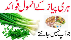 The green onion doesn't have the girth of its onion relatives, but these versatile veggies are big on taste. Benefits Of Green Onion In Urdu Hindi Green Onion Nutrition Facts And Health Benefits In Urdu Hindi Youtube