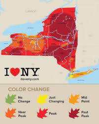 Go See Some Amazing Foliage New England Fall Foliage Fall Foliage Map Fall Foliage