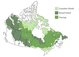 Canadian shield ( franceză : Canadian Shield The Canadian Encyclopedia