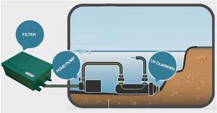 Tips For Uv Sterilizers In Ponds Futurepets Com