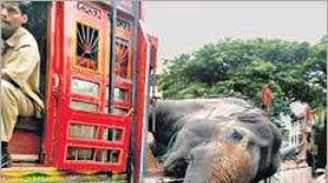 (lawyer) is located at 29, 1st floor, jalan raja hassan, 41400, klang, 41400, klang, selangor, 41400, malaysia A Jumbo Mishap In Chembur