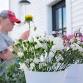 Bloom & Sip: A floral workshop at Coria Estates