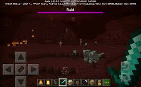 We have many custom coded features, yet we still preserve that vanilla feel! Minecraft News On Twitter Also Raids Work In The Nether And The End Dimension Mcpe Minecraft