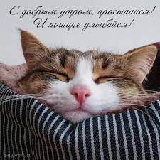 pin na doske dobroe utro