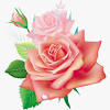 Pngkit selects 7864 hd flower png images for free download. 1