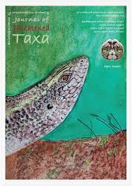 Image result for Hunteria zeylanica