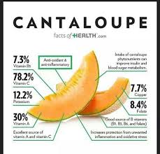 The Benefits Of Cantaloupe Coconut Health Benefits