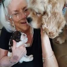 What is this object or thing?