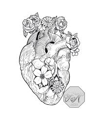 Tattoo Artwork Designs Phoebus Tattoo Studio St Petersburg Fl Tampa Anatomical Heart Tattoo Anatomical Heart Drawing Anatomical Heart Art